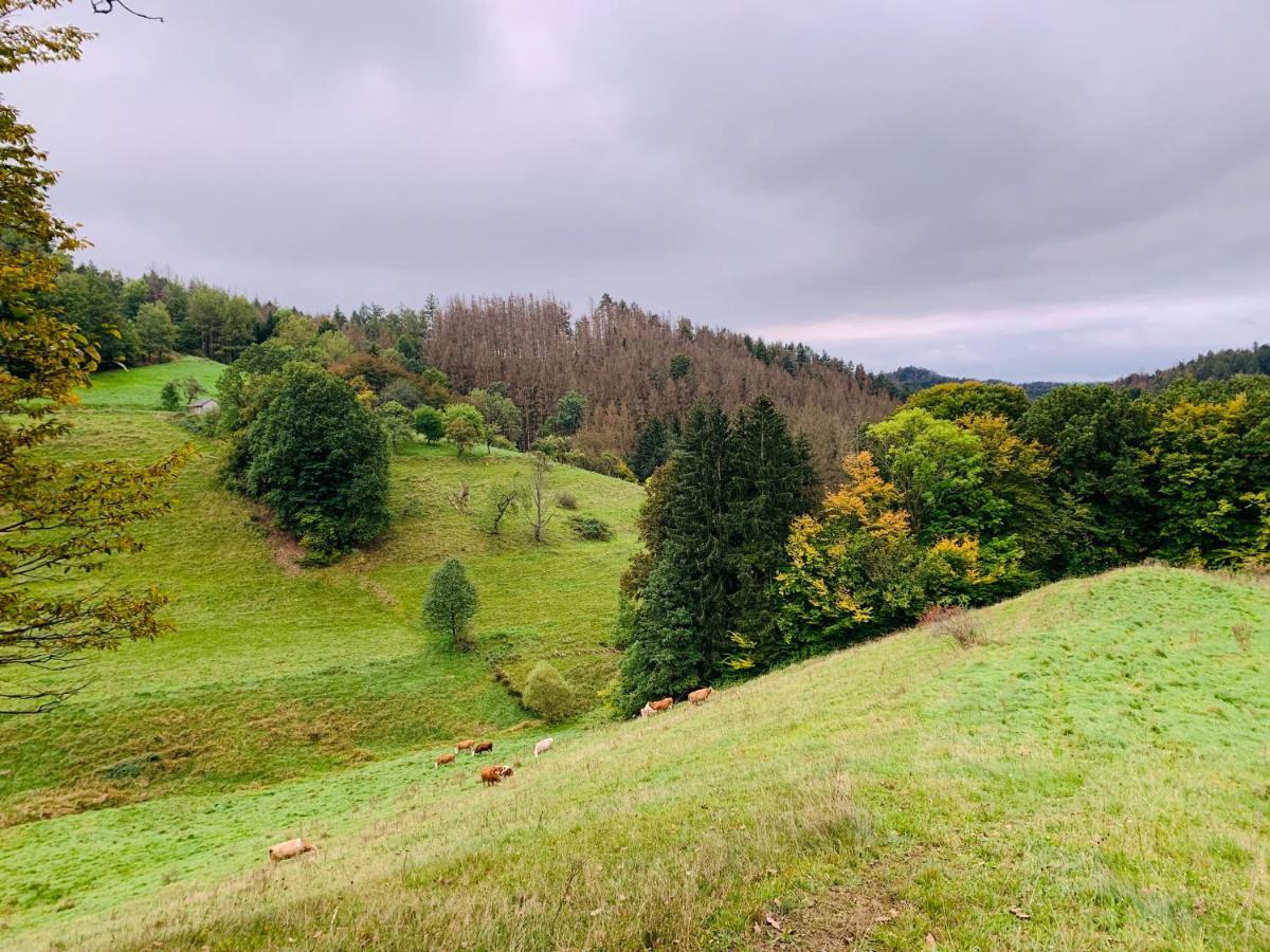 Naturhof Kluge Saupsdorf Exterior foto